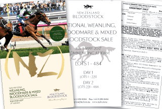 National Weanling, Broodmare & Mixed Bloodstock Sale Catalogue available online now.